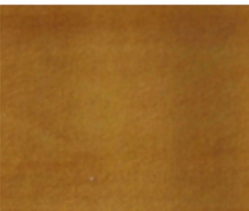 Зразок Magic Velvet Magic Velvet 2212 SIMEX